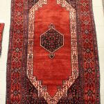 913 1527 ORIENTAL RUG